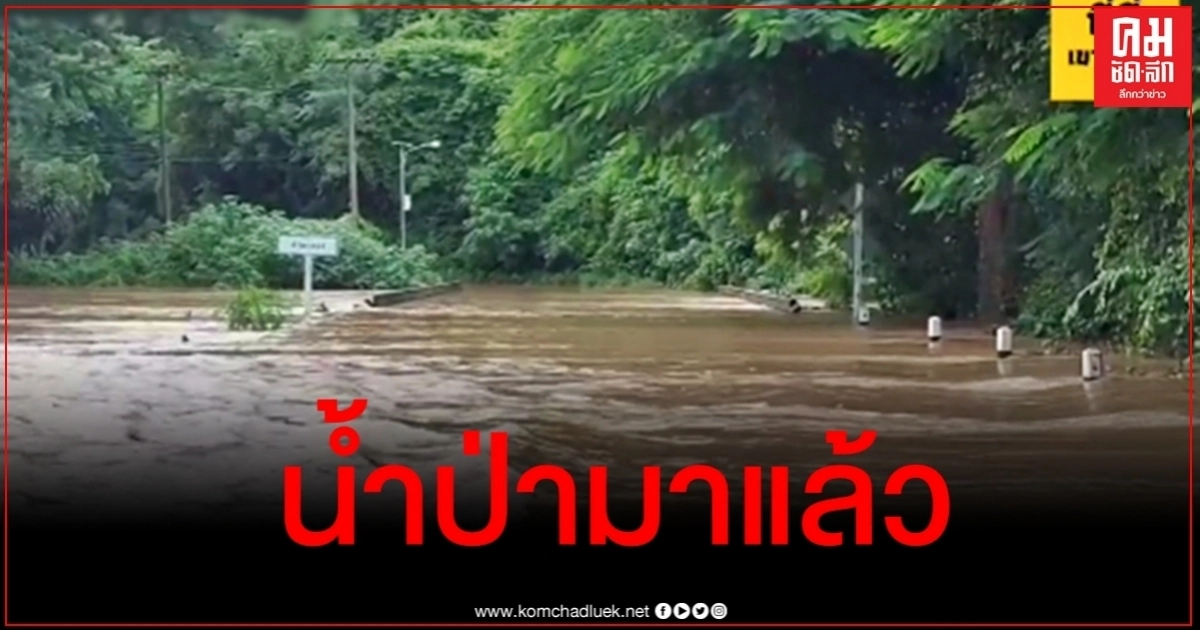 ด่วน น้ำป่าเขาใหญ่มาแล้ว ปากช่องเตรียมรับน้ำ ด่วน น้ำป่าเขาใหญ่มาแล้ว ปากช่องเตรียมรับน้ำ