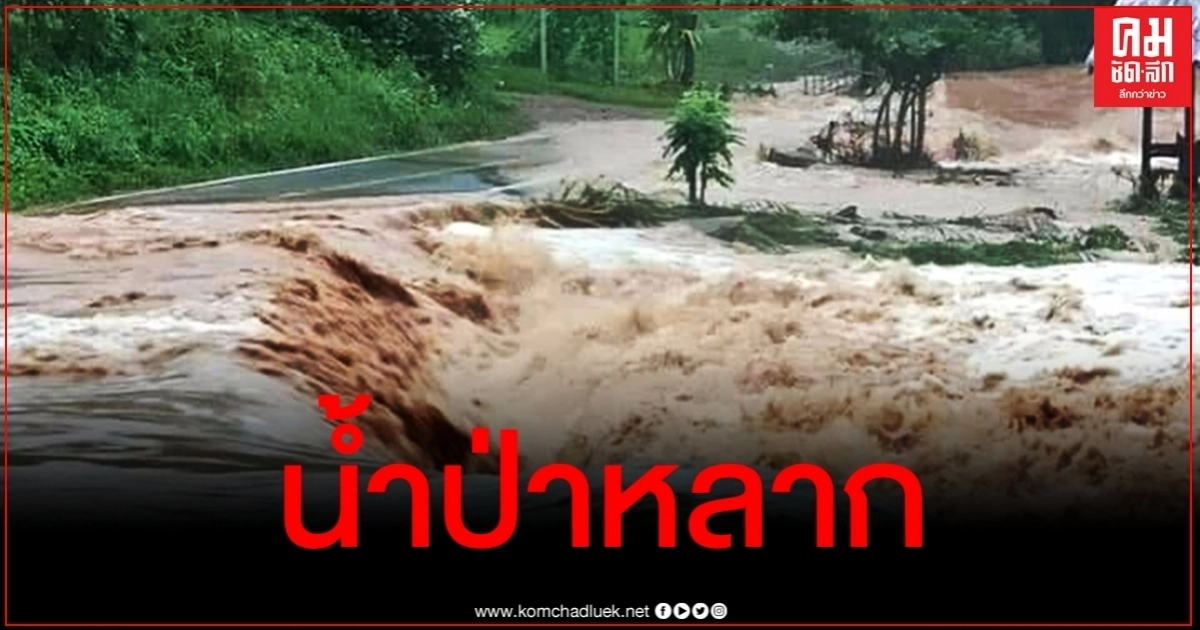 พายุ "โนอึล" ซัดชัยภูมิอ่วม ฝนตกหนัก-น้ำป่าหลากท่วมนาข้าว พายุ "โนอึล" ซัดชัยภูมิอ่วม ฝนตกหนัก-น้ำป่าหลากท่วมนาข้าว