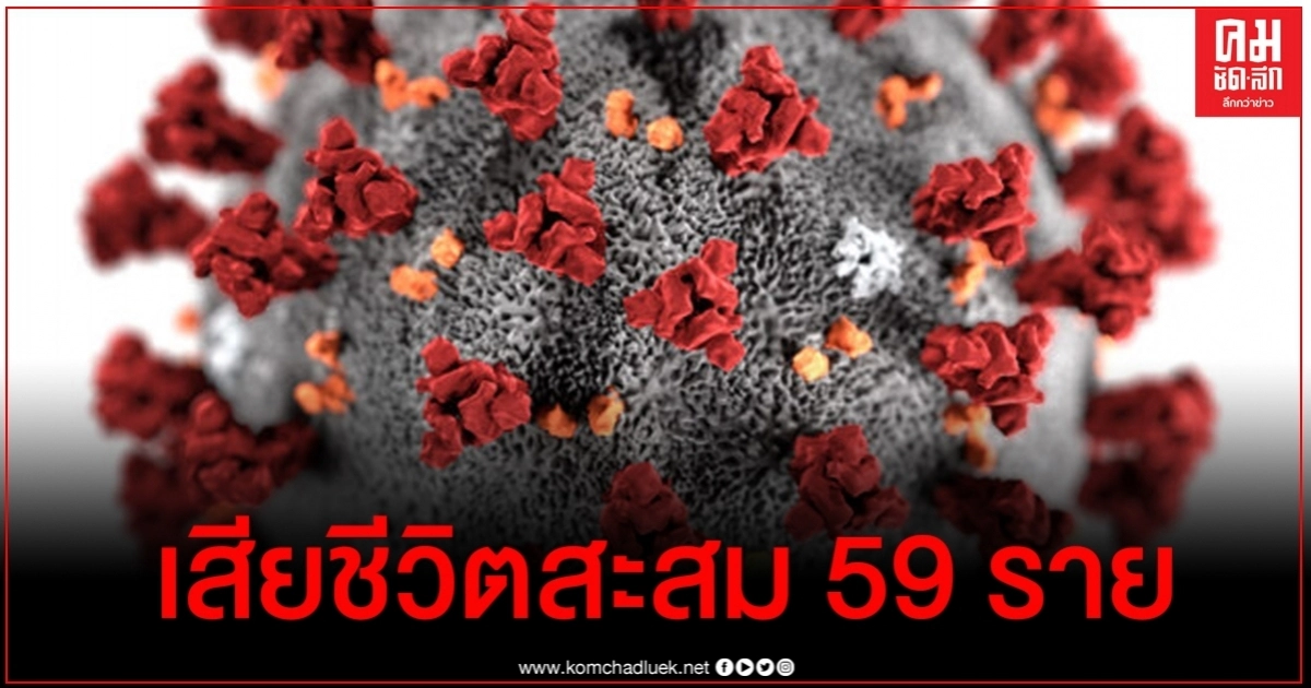 ด่วน ไทยพบผู้ติดเชื้อโควิดวันนี้ 3 ราย ยืนยันเสียชีวิตเพิ่ม 1 รายเคสล่ามประจำซาอุฯ ด่วน ไทยพบผู้ติดเชื้อโควิดวันนี้ 3 ราย ยืนยันเสียชีวิตเพิ่ม 1 รายเคสล่ามประจำซาอุฯ