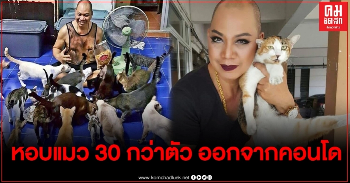 "อุ๊บ วิริยะ" ตัดพ้อ หอบแมว 30 กว่าตัว ย้ายออกจากคอนโด ลั่นเหนื่อยใจ ทำบุญกับคนไม่ค่อยจะขึ้น "อุ๊บ วิริยะ" ตัดพ้อ หอบแมว 30 กว่าตัว ย้ายออกจากคอนโด ลั่นเหนื่อยใจ ทำบุญกับคนไม่ค่อยจะขึ้น