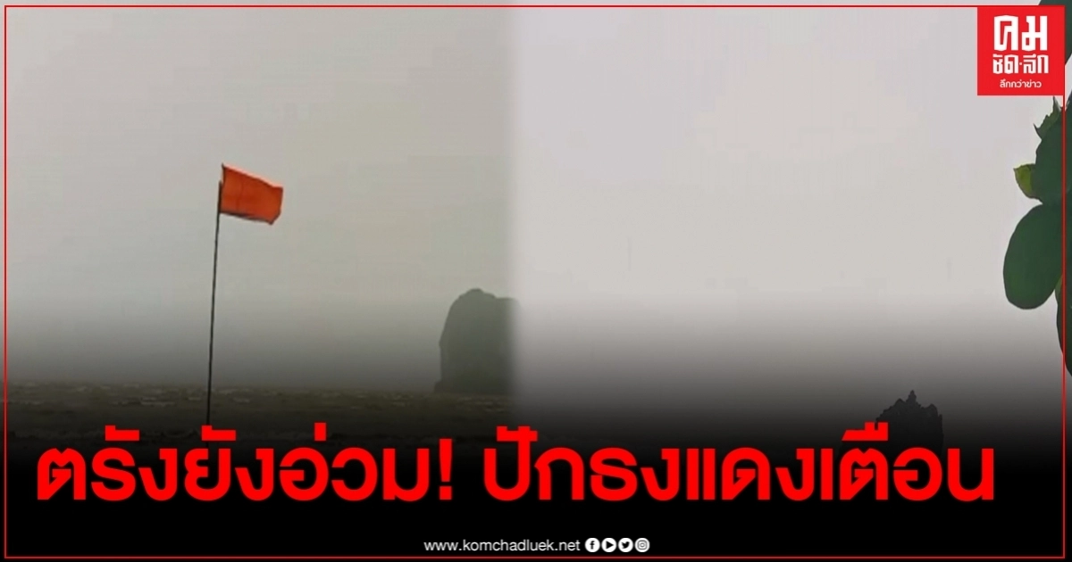 ยังอ่วมพิษโนอึล พัดต้นไม้ใหญ่-เสาไฟฟ้าล้ม เรือโดยสารยังคงชะลอการเดินเรือ อุทยาน ปักธงแดงเตือน ยังอ่วมพิษโนอึล พัดต้นไม้ใหญ่-เสาไฟฟ้าล้ม เรือโดยสารยังคงชะลอการเดินเรือ อุทยาน ปักธงแดงเตือน