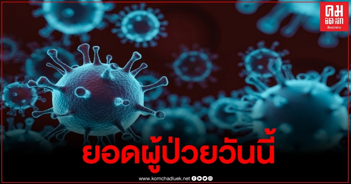 วันนี้ข่าวดี พบผู้ป่วยโควิดรายใหม่0ราย หายป่วยเพิ่มอีก2ราย วันนี้ข่าวดี พบผู้ป่วยโควิดรายใหม่0ราย หายป่วยเพิ่มอีก2ราย