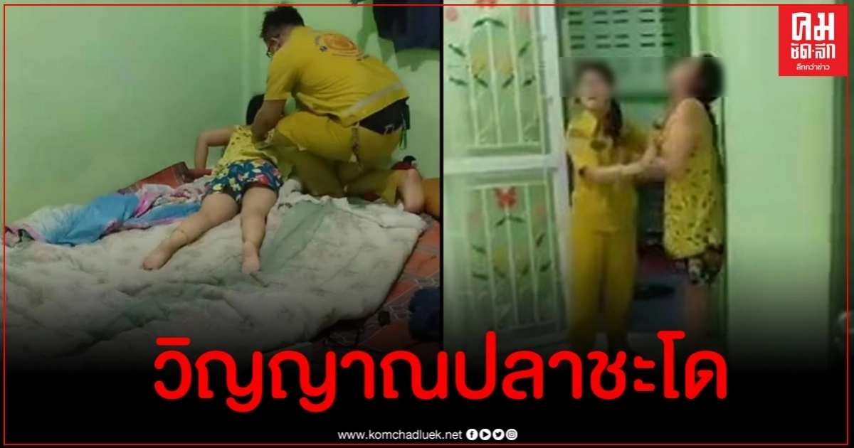 ระทึก สาวแหวกว่ายคล้ายปลา ตะโกนลั่น "เอากูมาทำไม" หลังสามีไปจับปลาชะโดมาแร่ขาย ระทึก สาวแหวกว่ายคล้ายปลา ตะโกนลั่น "เอากูมาทำไม" หลังสามีไปจับปลาชะโดมาแร่ขาย