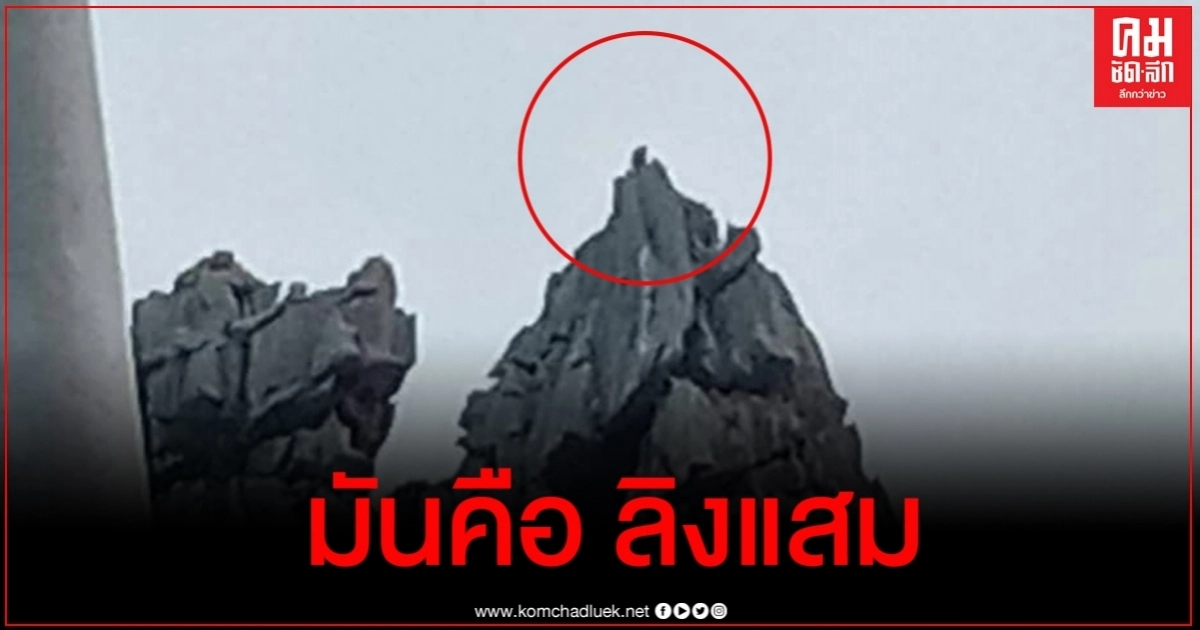 ไม่ใช่ พญาวานร กรมอุทยานฯ เผยเคยพบลิงใหญ่สุดที่เขาหน่อมีน้ำหนักแค่ 10.5 กก. ไม่ใช่ พญาวานร กรมอุทยานฯ เผยเคยพบลิงใหญ่สุดที่เขาหน่อมีน้ำหนักแค่ 10.5 กก.