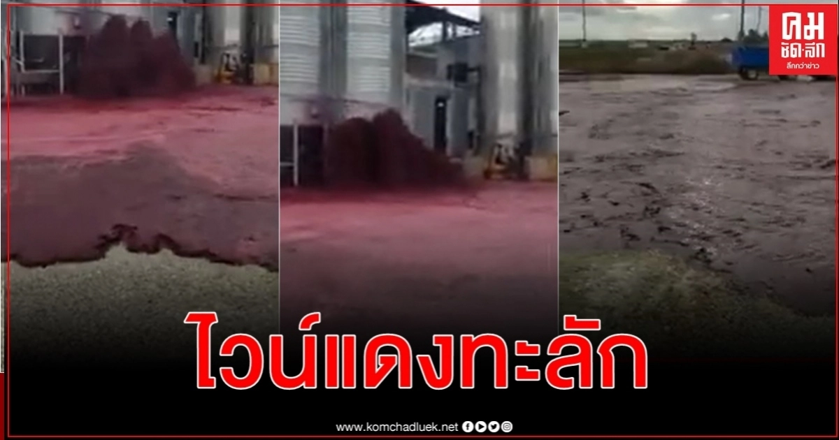 ไวน์แดง 5 หมื่นลิตรทะลักท่วมเจิ่งนองที่สเปน ถังเก็บขนาดใหญ่เสียหาย