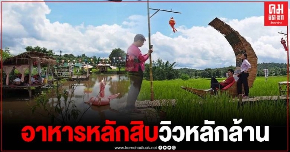 กูบนาคาเฟ่ เปลี่ยนชื่อใหม่ ไฉไลกว่าเดิม สัมผัสทุ่งนากล้าเขียวพร้อมเมนูสุดอร่อย