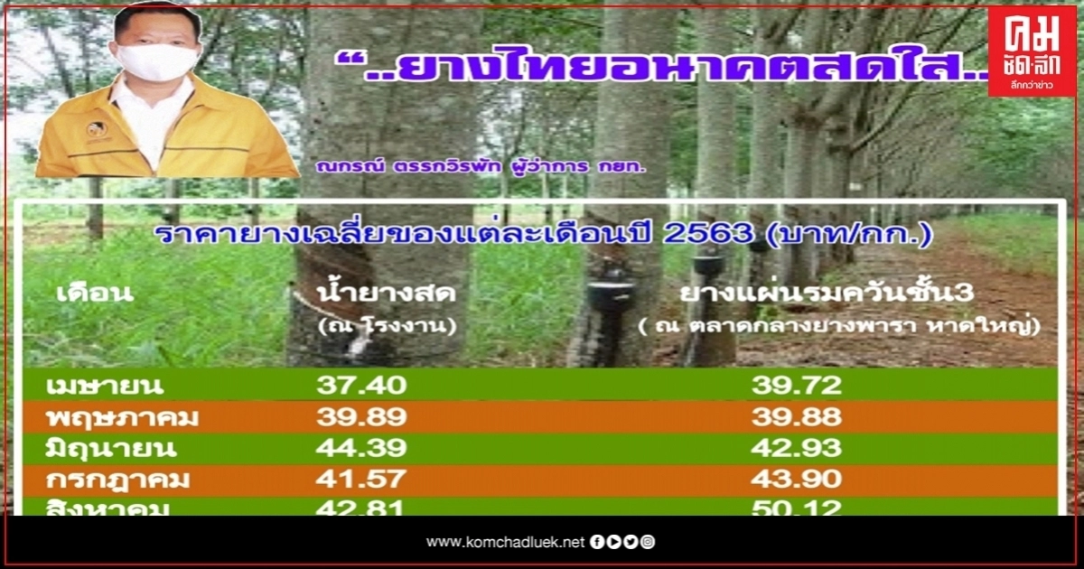 กยท.เผยโควิด-19 สร้างเสถียรภาพให้ยาง มั่นใจแนวโน้มราคาปรับตัวเพิ่มขึ้นต่อเนื่อง กยท.เผยโควิด-19 สร้างเสถียรภาพให้ยาง มั่นใจแนวโน้มราคาปรับตัวเพิ่มขึ้นต่อเนื่อง