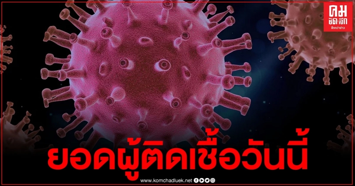 ศบค.รายงานผู้ติดเชื้อรายใหม่วันนี้ พบหายเพิ่มอีก4ราย ศบค.รายงานผู้ติดเชื้อรายใหม่วันนี้ พบหายเพิ่มอีก4ราย