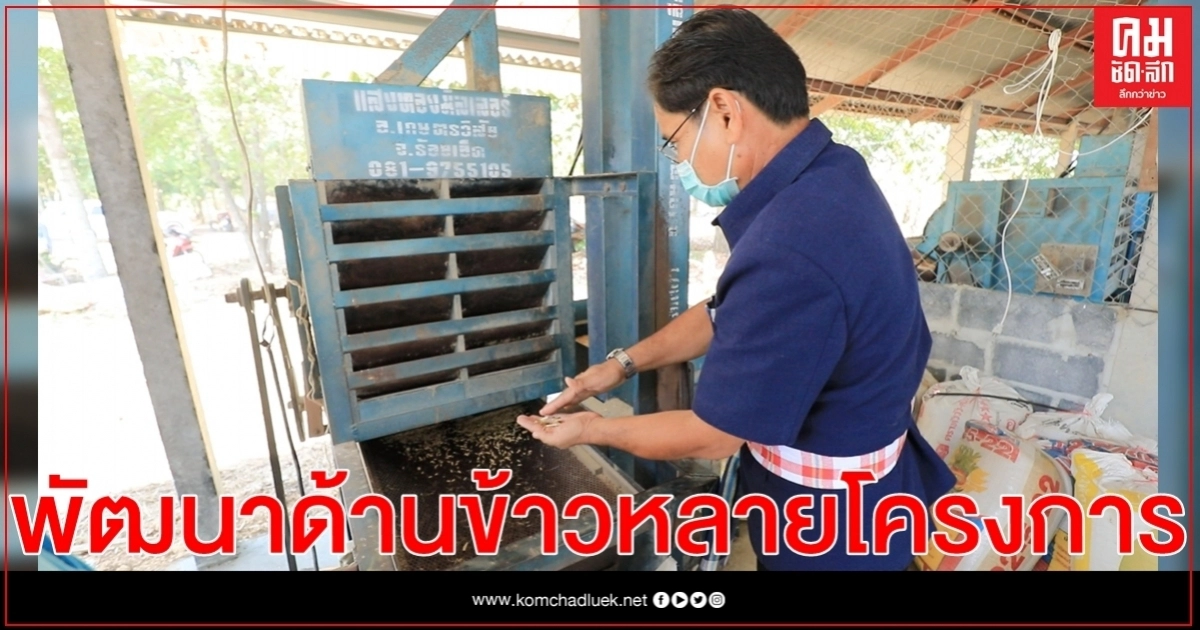 ศูนย์เมล็ดพันธุ์ข้าวนครราชสีมามีบทบาทภารกิจในการดูแลโครงการเกี่ยวกับการพัฒนาด้านข้าวหลากหลายโครงการ