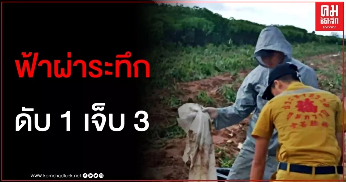 สลด ฟ้าผ่าชาวบ้านกลางไร่มันสำปะหลัง ดับ 1 เจ็บอีก 3