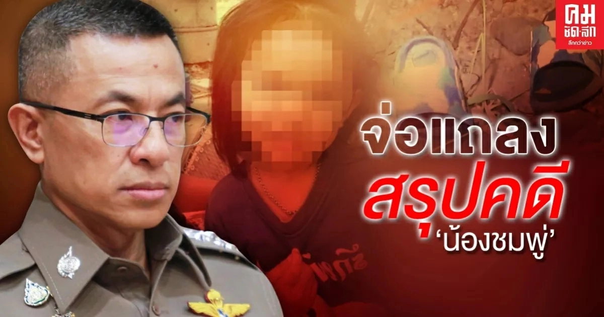 "บิ๊กปั๊ด" จ่อแถลงสรุปคดี "น้องชมพู่" พรุ่งนี้