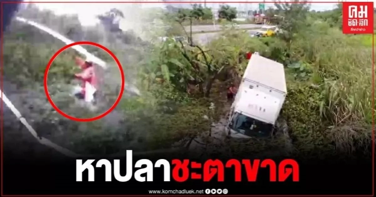 6 ล้อหลับใน เสยชาวบ้านหาปลาจมคลอง ดับอนาถ 6 ล้อหลับใน เสยชาวบ้านหาปลาจมคลอง ดับอนาถ