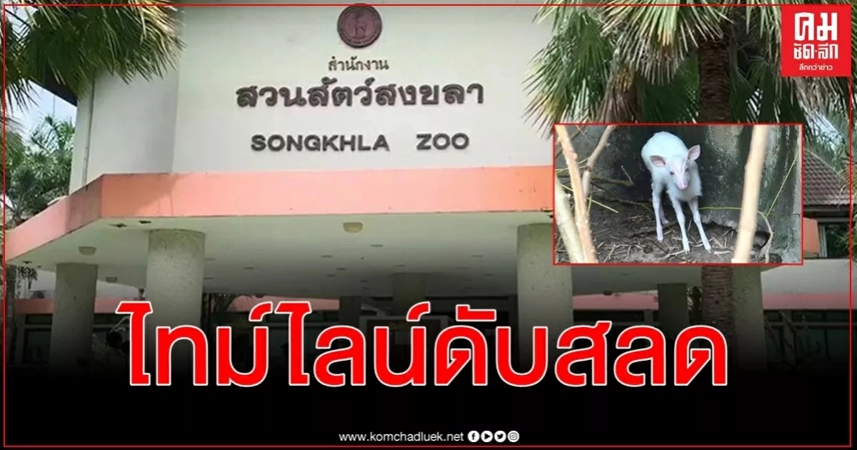เปิดไทม์ไลน์ชนวนเหตุ "เก้งเผือก" สายพันธุ์พระราชทานหายนำมาสู่ 2 ชีวิตดับ เปิดไทม์ไลน์ชนวนเหตุ "เก้งเผือก" สายพันธุ์พระราชทานหายนำมาสู่ 2 ชีวิตดับ