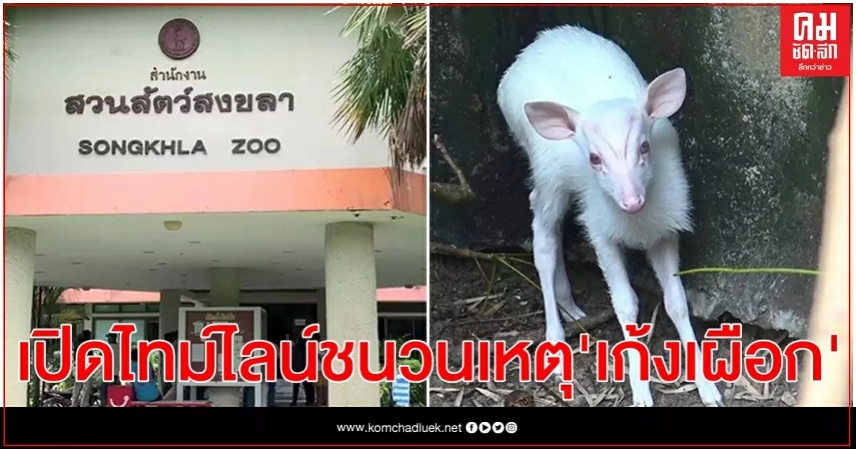 เปิดไทม์ไลน์ ชนวนเหตุ "เก้งเผือก" นำมาสู่เหตุอาชญากรรมที่ต้องสูญเสียบุคลากร 2 ชีวิต เปิดไทม์ไลน์ ชนวนเหตุ "เก้งเผือก" นำมาสู่เหตุอาชญากรรมที่ต้องสูญเสียบุคลากร 2 ชีวิต