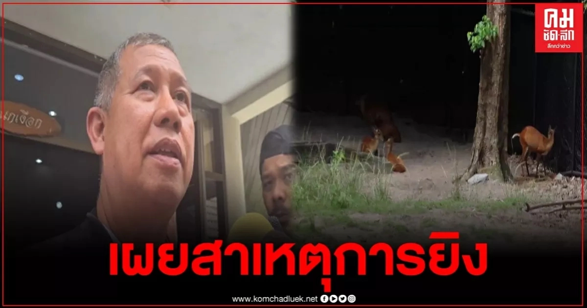 ประธานบอร์ดสวนสัตว์ เผยสาเหตยิงกันที่สวนสัตว์สงขลาจากปัญหาการสื่อสารและเรื่องไม่เป็นเรื่อง ประธานบอร์ดสวนสัตว์ เผยสาเหตยิงกันที่สวนสัตว์สงขลาจากปัญหาการสื่อสารและเรื่องไม่เป็นเรื่อง