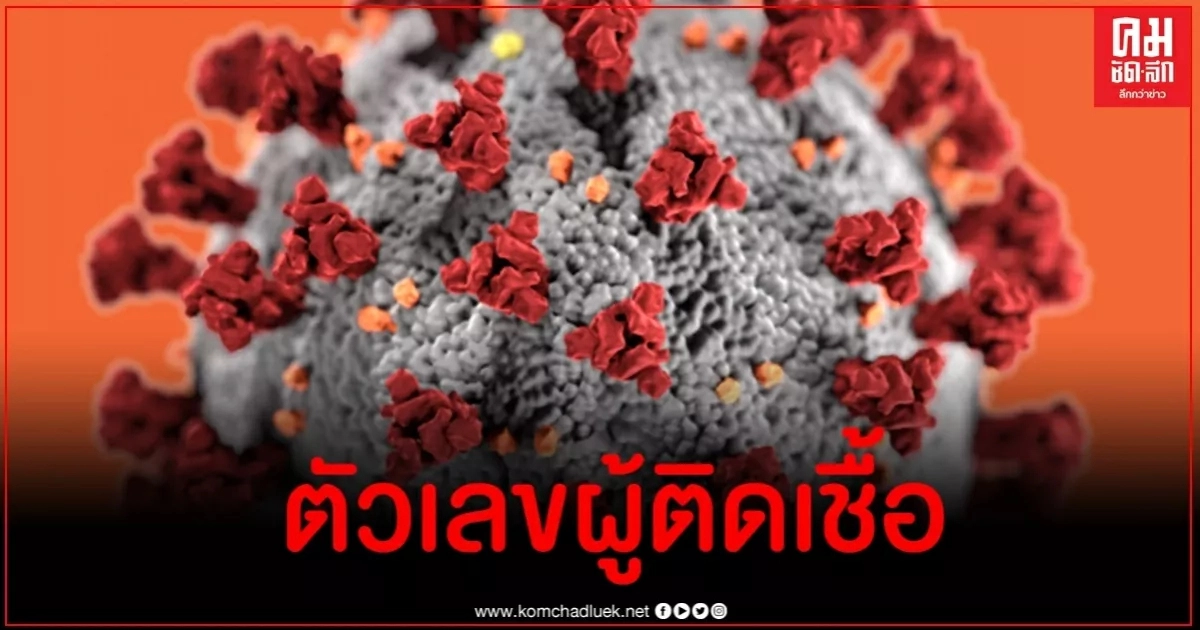 ด่วน ไทยติดเชื้อโควิด-19 พุ่ง 15 รายจาก 6 ประเทศ ด่วน ไทยติดเชื้อโควิด-19 พุ่ง 15 รายจาก 6 ประเทศ
