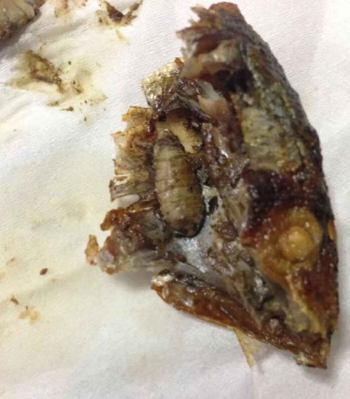 หมอแล็บฯ ไขข้อสงสัย สัตว์ประหลาดในปากปลาทูเห็นแล้วชวนขนลุก