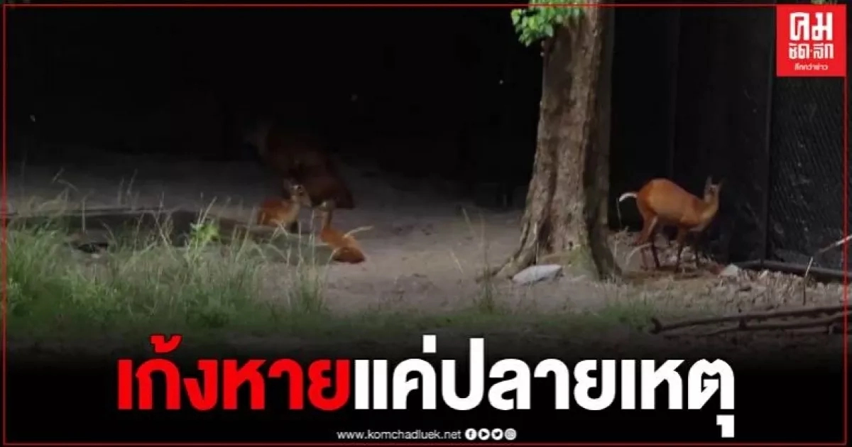 เปิดปมความขัดแย้ง ผอ.สุริยา กับ หมอภูวดล เผยมีปมร้องเรียนกันถึง 21 เรื่อง เปิดปมความขัดแย้ง ผอ.สุริยา กับ หมอภูวดล เผยมีปมร้องเรียนกันถึง 21 เรื่อง