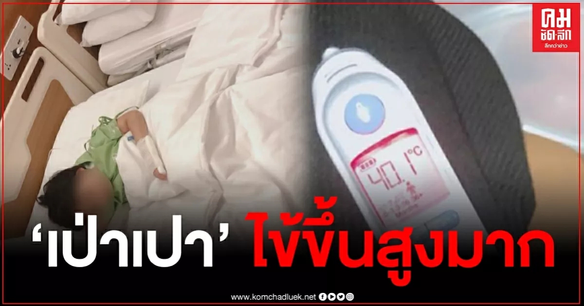 "กุ๊บกิ๊บ" สุดห่วงลูก "เป่าเปา" ใจคอไม่ดี หลังพบมีไข้ขึ้นสูง หวั่นชัก "กุ๊บกิ๊บ" สุดห่วงลูก "เป่าเปา" ใจคอไม่ดี หลังพบมีไข้ขึ้นสูง หวั่นชัก