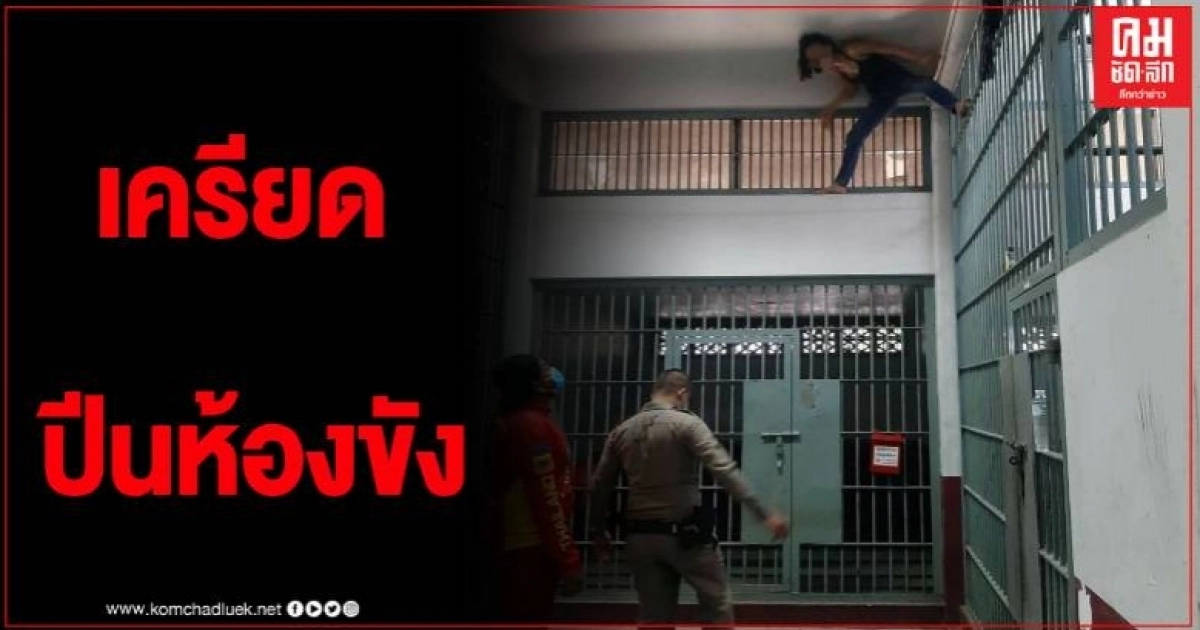 ผู้ต้องหาสาวเครียดคดี ปีนห้องขัง หวังหนีคดี ราวกับสไปเดอร์แมน ผู้ต้องหาสาวเครียดคดี ปีนห้องขัง หวังหนีคดี ราวกับสไปเดอร์แมน