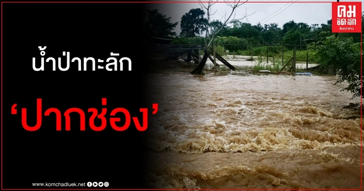 ปากช่องอ่วม น้ำป่าเขาใหญ่ทะลัก อพยพ 5 หมู่บ้าน ปากช่องอ่วม น้ำป่าเขาใหญ่ทะลัก อพยพ 5 หมู่บ้าน