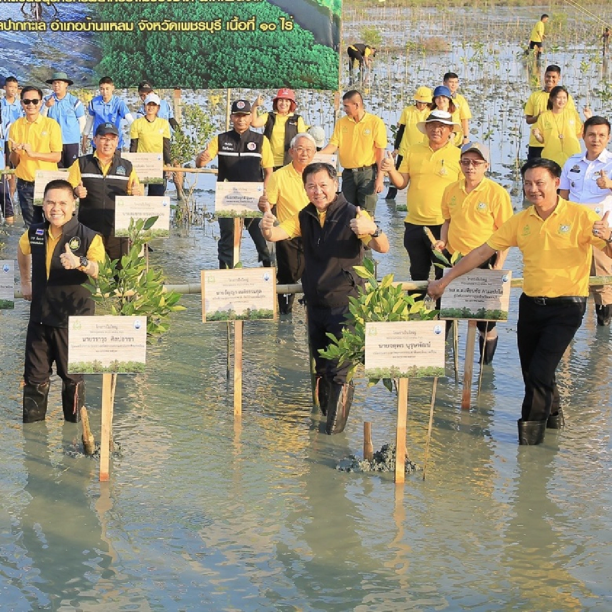 คนไทยเฮ! "วราวุธ" เผยป่าชายเลนเพิ่มกว่า 2 แสนไร่