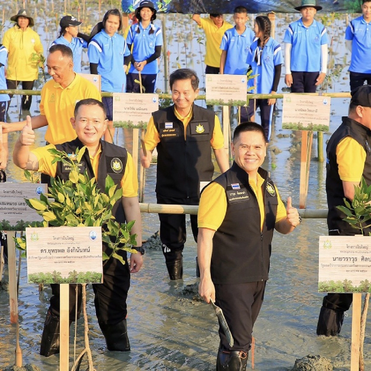 คนไทยเฮ! "วราวุธ" เผยป่าชายเลนเพิ่มกว่า 2 แสนไร่