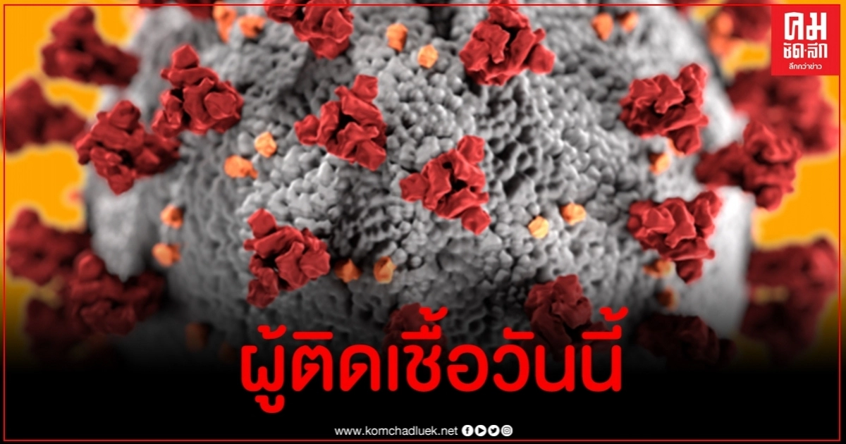 ด่วน ไทยพบผู้ติดเชื้อโควิด-19 รายใหม่เพิ่ม 6 ราย ด่วน ไทยพบผู้ติดเชื้อโควิด-19 รายใหม่เพิ่ม 6 ราย