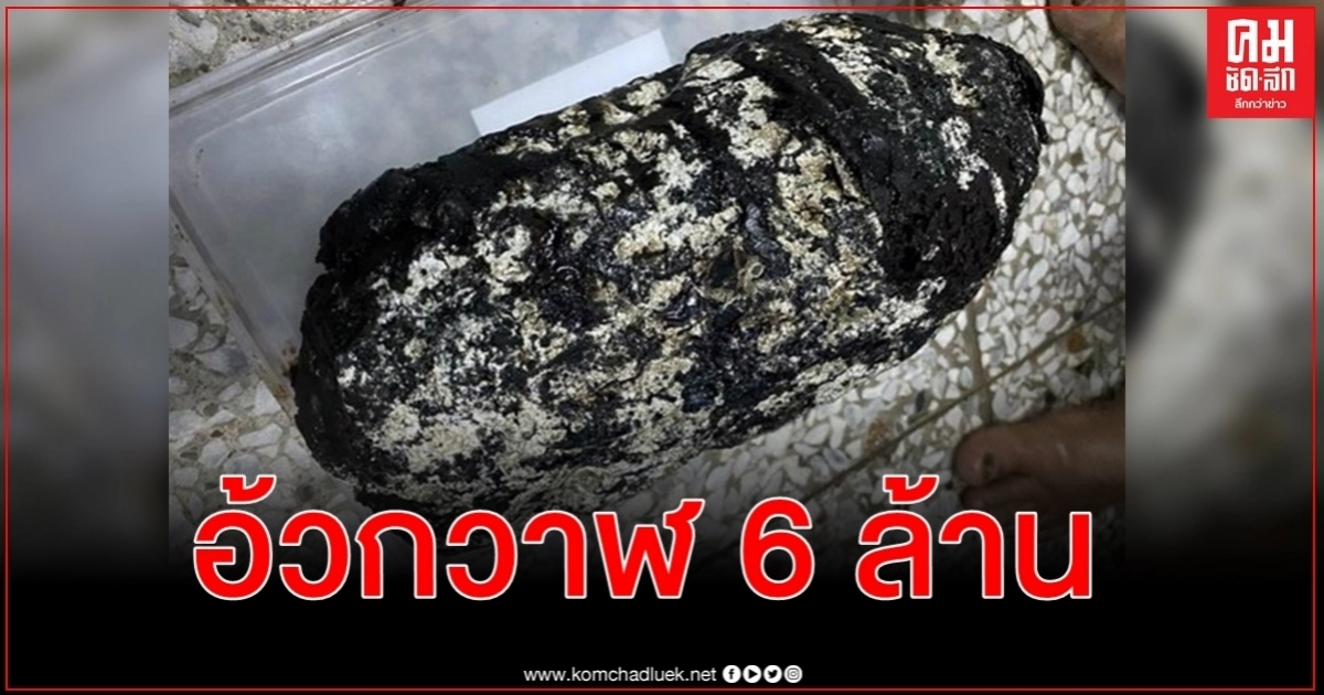 ชายไต้หวันดวงเฮงเจออ้วกวาฬ ประเมินมูลค่า 6 ล้าน ชายไต้หวันดวงเฮงเจออ้วกวาฬ ประเมินมูลค่า 6 ล้าน