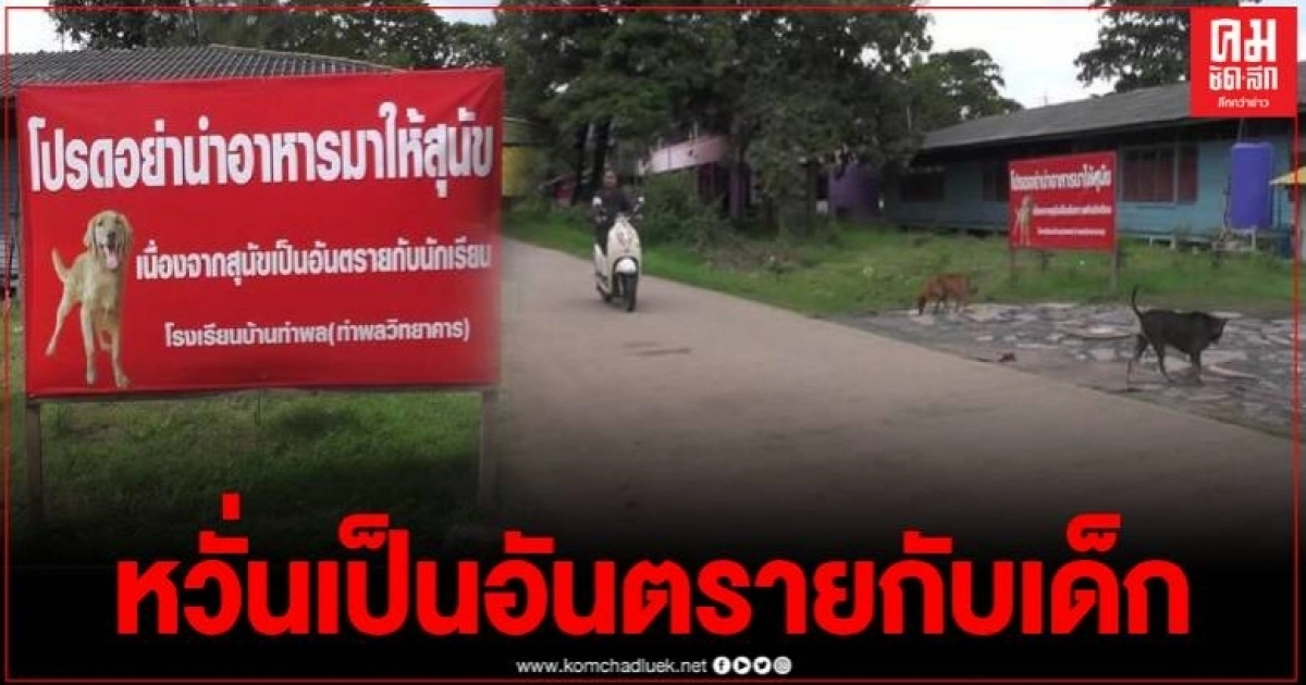 โรงเรียนสุดทน ขึ้นป้ายงดให้อาหารสุนัขในพื้นที่ หลังมีเหตุสุนัขกัดนักเรียนได้รับบาดเจ็บ โรงเรียนสุดทน ขึ้นป้ายงดให้อาหารสุนัขในพื้นที่ หลังมีเหตุสุนัขกัดนักเรียนได้รับบาดเจ็บ
