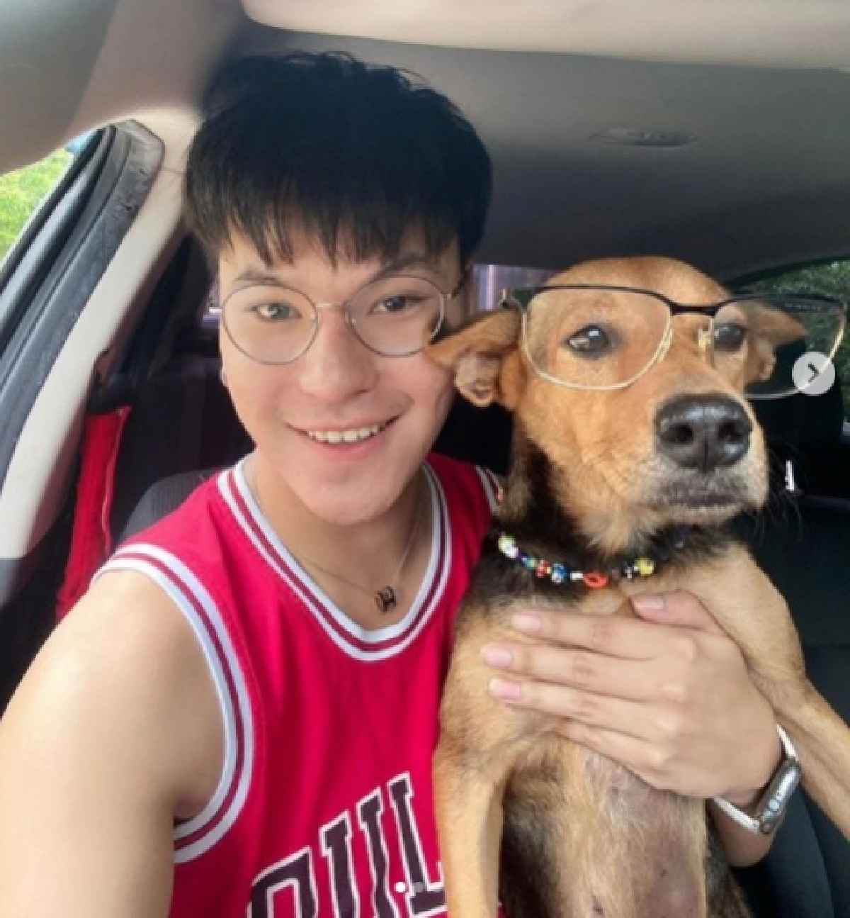 เอ็นดู "หมูทะ" ดึงม่านออกไปมองหา รอเจ้าของสุดรักกลับบ้าน ไปทำงานเมื่อไหร่จะกลับสักที 