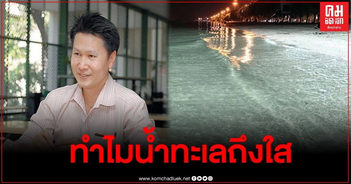 "อ.เจษฎา" เผยข้อสงสัย ทำไมทะเลหาดบางแสน ถึงน้ำใส ตอนหน้าหนาว "อ.เจษฎา" เผยข้อสงสัย ทำไมทะเลหาดบางแสน ถึงน้ำใส ตอนหน้าหนาว