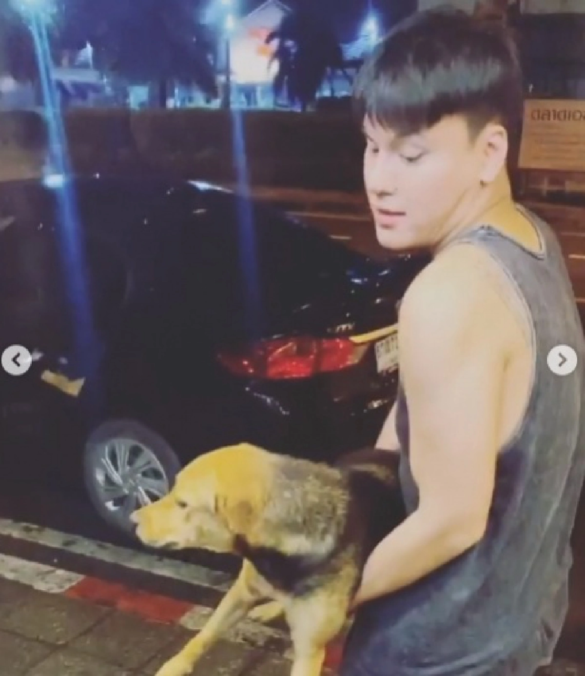 เอ็นดู "หมูทะ" ดึงม่านออกไปมองหา รอเจ้าของสุดรักกลับบ้าน ไปทำงานเมื่อไหร่จะกลับสักที 