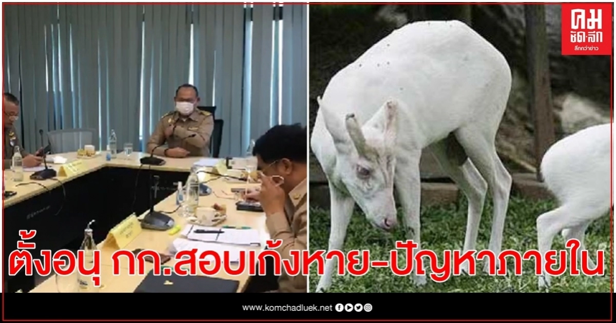 ตั้งอนุกรรมการ 2 ชุด หารายละเอียดเก้งหาย-ปัญหาภายใน ตั้งอนุกรรมการ 2 ชุด หารายละเอียดเก้งหาย-ปัญหาภายใน