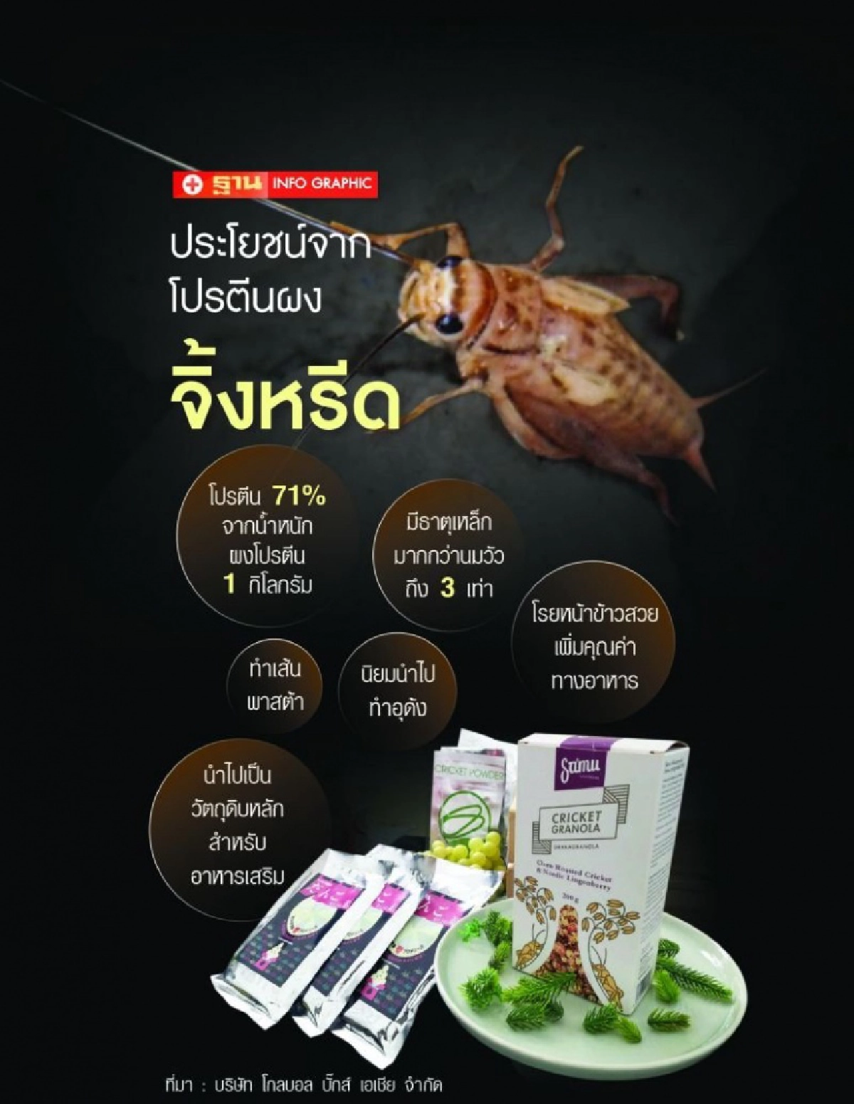 "เฉลิมชัย"ตั้งเป้าไทยเป็นฮับโปรตีนแมลงโลกส่งเสริมเกษตรทางเลือกใหม่ให้เกษตรกรยุคโควิด