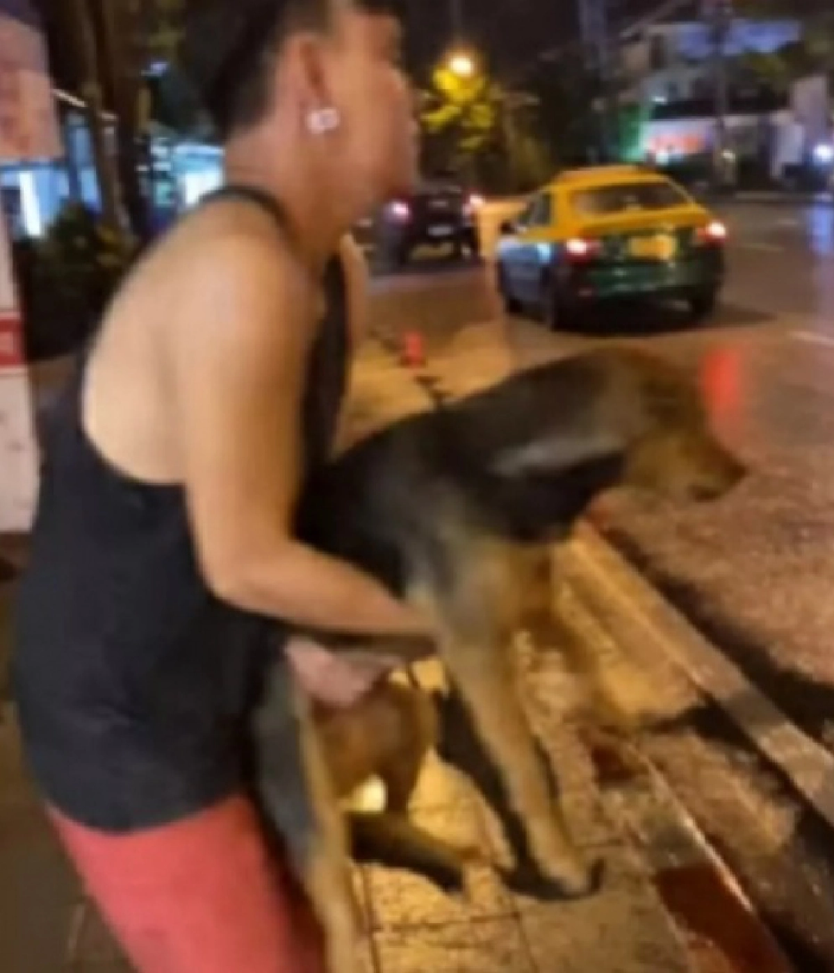 \"หมูทะ\" สุนัขจรจัด ภาพล่าสุดหลังถูกเก็บมาเลี้ยง เป็นคุณนายใส่เครื่องเพชร ชาวเน็ตแห่คอมเมนต์แซว