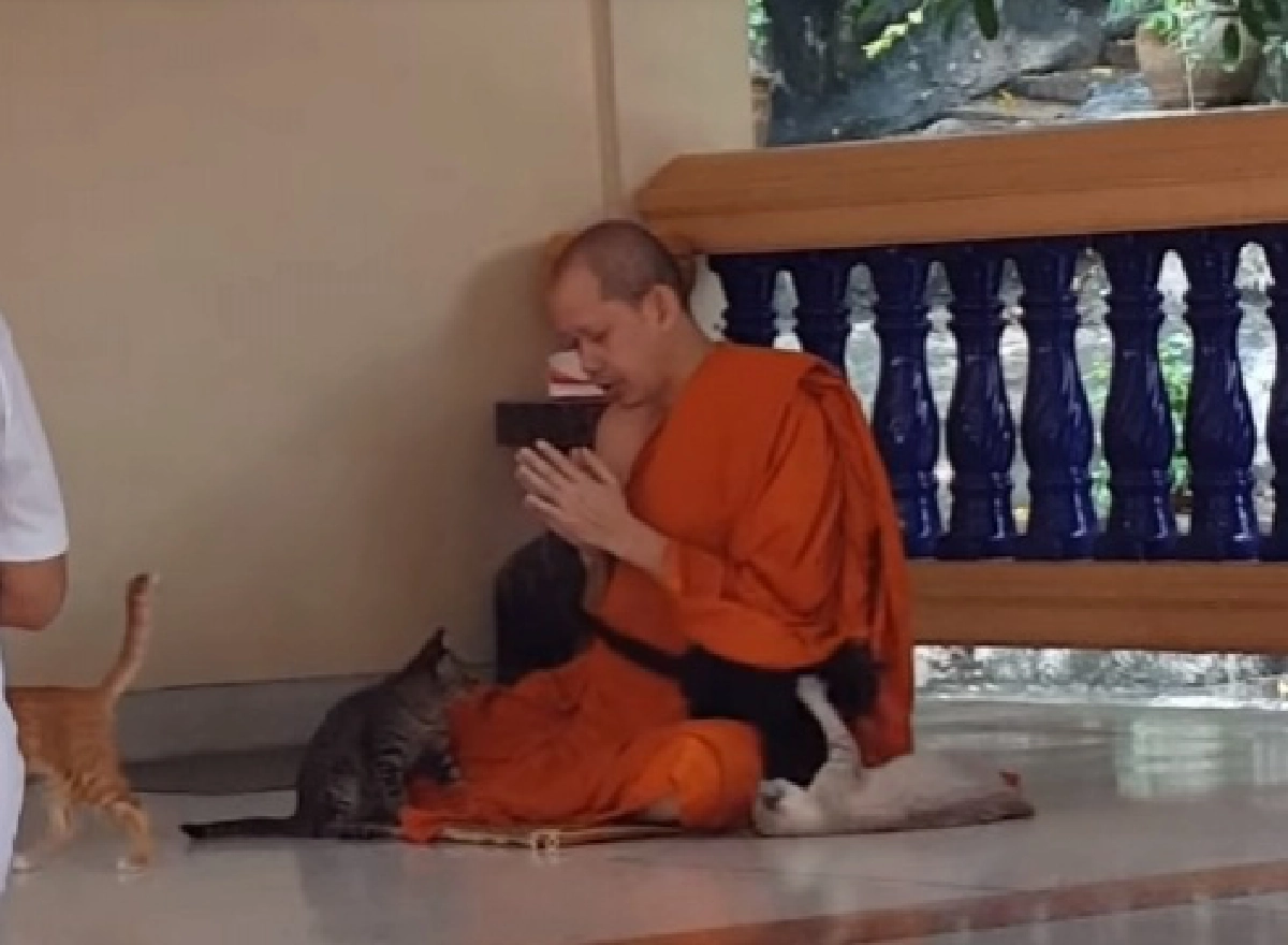 คลิปสร้างเสียงหัวเราะ เมื่อหลวงพี่โพสต์คลิป "เด็กพวกนี้ตีกันไม่เกรงใจพระเลย" 
