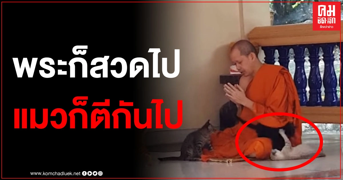 คลิปสร้างเสียงหัวเราะ เมื่อหลวงพี่โพสต์คลิป "เด็กพวกนี้ตีกันไม่เกรงใจพระเลย" 