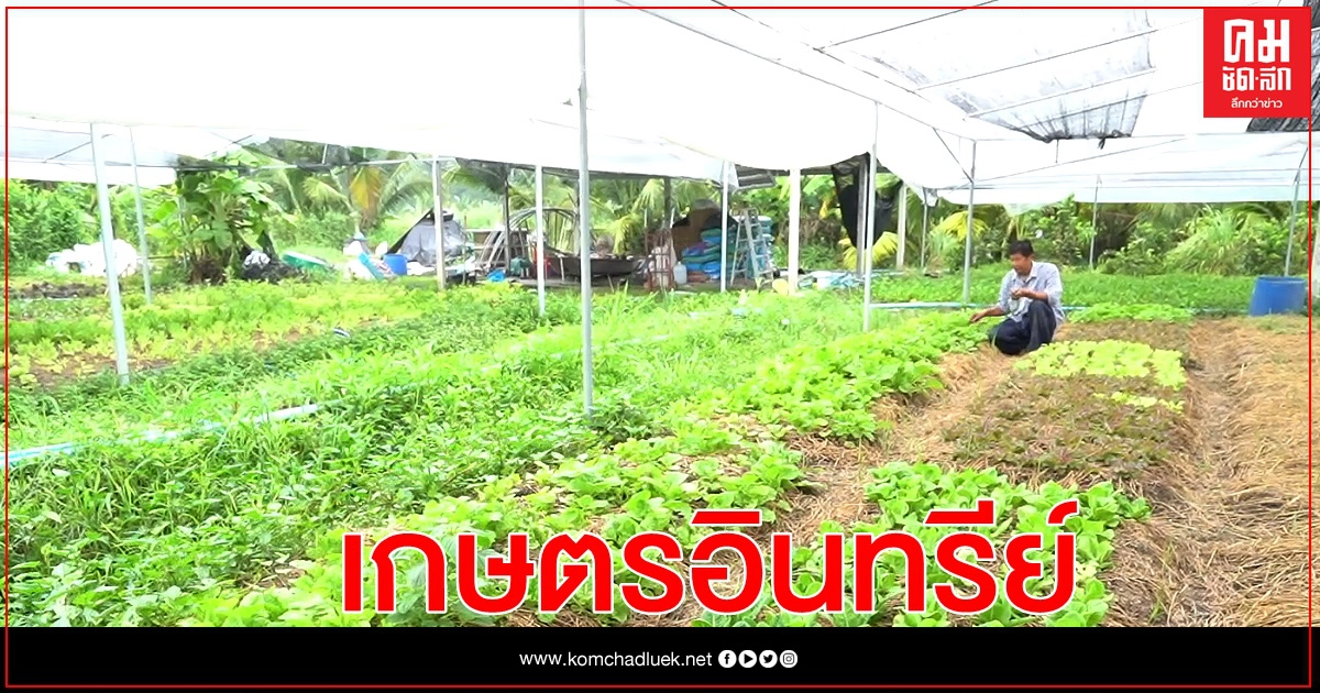 เกษตรอินทรีย์ กับความมั่นคงด้านอาหารและอาชีพ บนวิถีชีวิตใหม่(New Normal)
