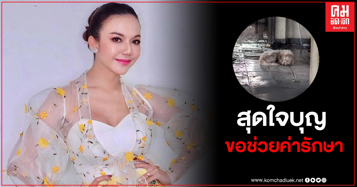 สุดใจบุญ "จ๊ะ อาร์สยาม" ขอช่วยค่ารักษา น้องหมอก สุนัขผู้ซื่อสัตย์ สุดใจบุญ "จ๊ะ อาร์สยาม" ขอช่วยค่ารักษา น้องหมอก สุนัขผู้ซื่อสัตย์