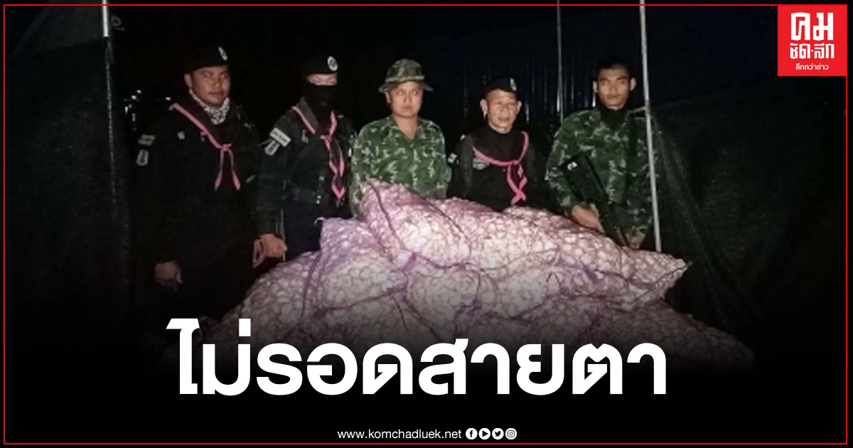ทหารพรานตรวจยึดกระเทียมริมฝั่งแม่น้ำโขง 720 กก.ลักลอบนำเข้าจาก ลาว ทหารพรานตรวจยึดกระเทียมริมฝั่งแม่น้ำโขง 720 กก.ลักลอบนำเข้าจาก ลาว