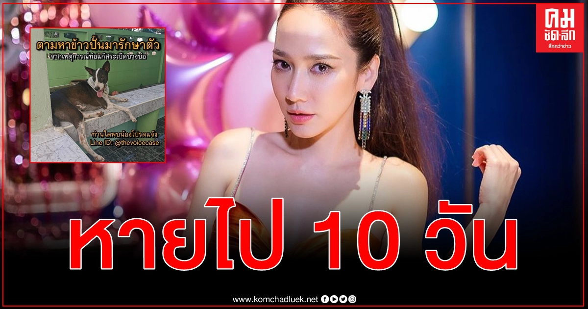 นิ่งสยบเคลื่อนไหว หายไป 10 วัน อั้ม พัชราภา มาแล้ว โดนดาหน้ารัวถล่ม สนับสนุนความรุนแรง นิ่งสยบเคลื่อนไหว หายไป 10 วัน อั้ม พัชราภา มาแล้ว โดนดาหน้ารัวถล่ม สนับสนุนความรุนแรง
