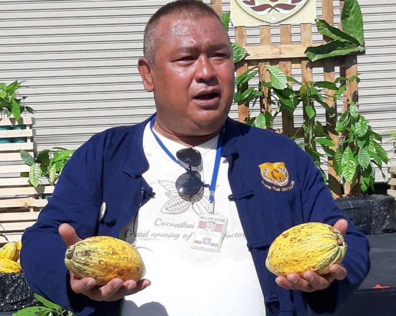 จับตาพืชเศรษฐกิจตัวใหม่ "โกโก้ไทย"ไปต่อไม่รอแล้วนะ