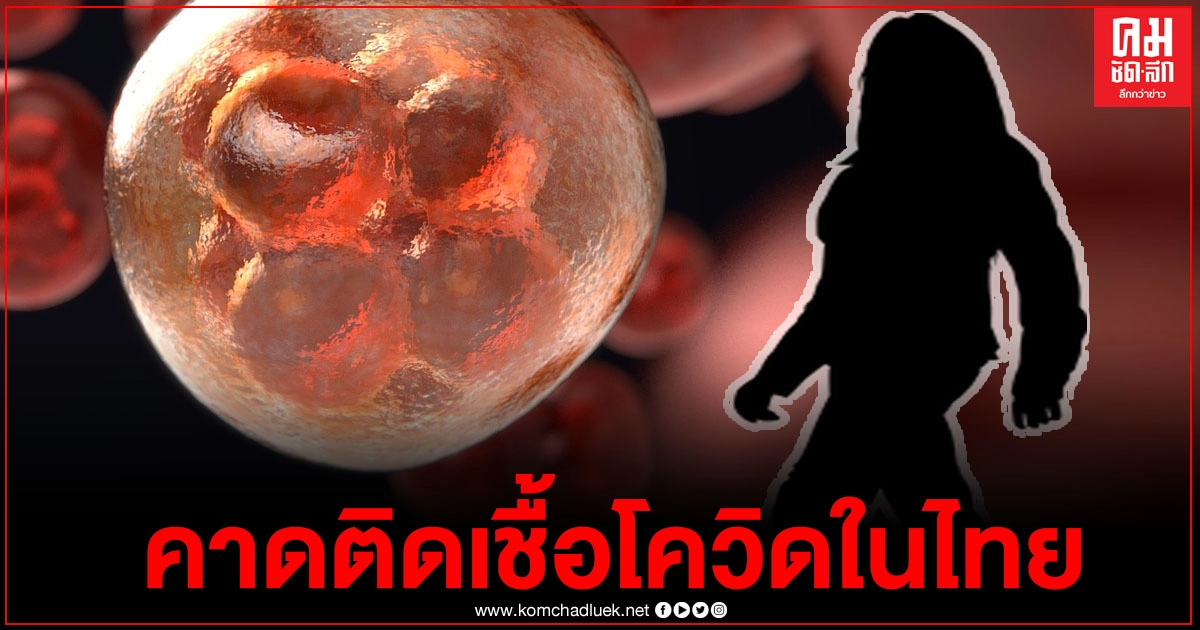 สธ.เผยผลตรวจแหม่มฝรั่งเศสคาดติดเชื้อโควิด-19 ในไทย เสี่ยงผู้กักตัวไม่ครบ 14 วัน แพร่เชื้อในฟิตเนส สธ.เผยผลตรวจแหม่มฝรั่งเศสคาดติดเชื้อโควิด-19 ในไทย เสี่ยงผู้กักตัวไม่ครบ 14 วัน แพร่เชื้อในฟิตเนส