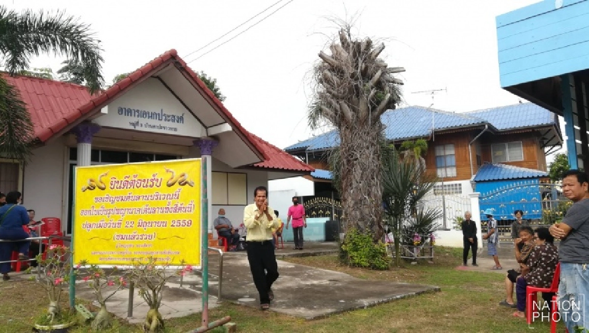 ต้นลาน, ลูกลาน, ใบลาน, หวย, เลขเด็ด, พญานาค, ต้นลูกฆ่าแม่