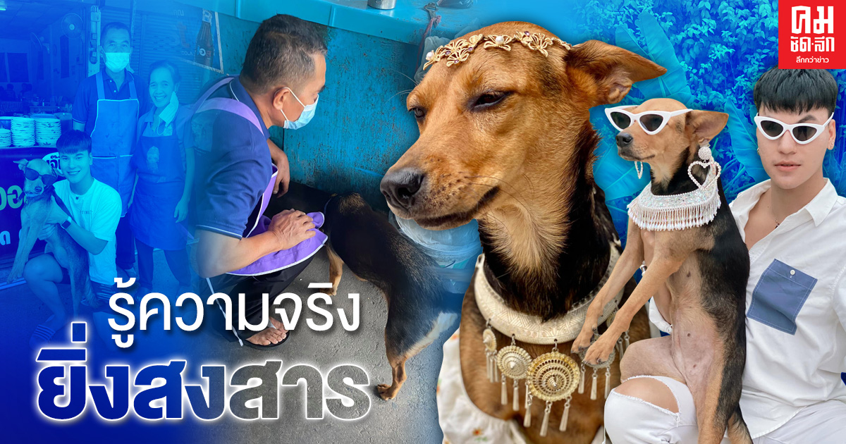 "บูม" พามาดาม "หมูทะ" กลับบ้านเก่า จนรู้ประวัติของหมูทะ ถูกทอดทิ้ง ยิ่งฟังยิ่งสงสารจับใจ "บูม" พามาดาม "หมูทะ" กลับบ้านเก่า จนรู้ประวัติของหมูทะ ถูกทอดทิ้ง ยิ่งฟังยิ่งสงสารจับใจ