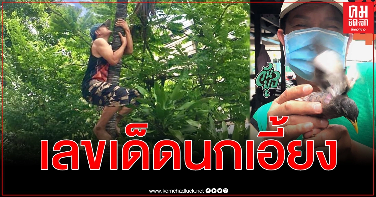 เลขเด็ด มนต์สิทธิ์ คำสร้อย เตือน ไม่มีใครรวยในการพนัน นอกจากคนถูกรางวัลที่ 1 เท่านั้น