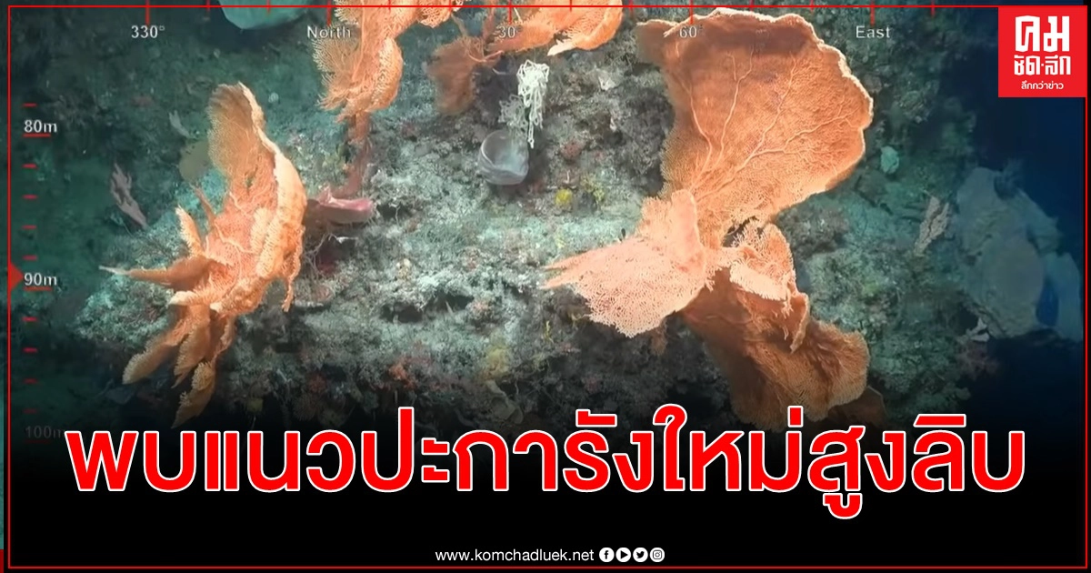 ตื่นตาใต้ทะเล พบแนวปะการังใหม่มหึมาสูงกว่าตึกเอ็มไพร์สเตท นอกรัฐควีนสแลนด์ (ชมคลิป) ตื่นตาใต้ทะเล พบแนวปะการังใหม่มหึมาสูงกว่าตึกเอ็มไพร์สเตท นอกรัฐควีนสแลนด์ (ชมคลิป)
