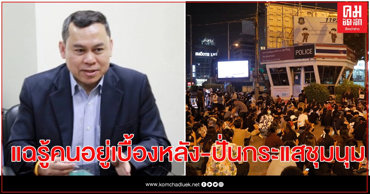 'นพดล กรรณิกา' ยัน รู้ข้อมูลผู้อยู่เบื้องหลัง-คนปั่นกระแส ชุมนุมปฏิรูปสถาบันฯ