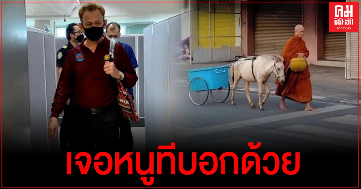 เลขาสมาคมพิทักษ์สัตว์ไทยแจ้ง กรมปศุสัตว์เตรียมจัดการพระสงฆ์ที่นำวัวมาเดินบิณฑบาต เลขาสมาคมพิทักษ์สัตว์ไทยแจ้ง กรมปศุสัตว์เตรียมจัดการพระสงฆ์ที่นำวัวมาเดินบิณฑบาต